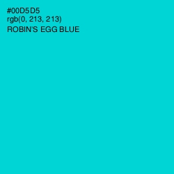 #00D5D5 - Robin's Egg Blue Color Image